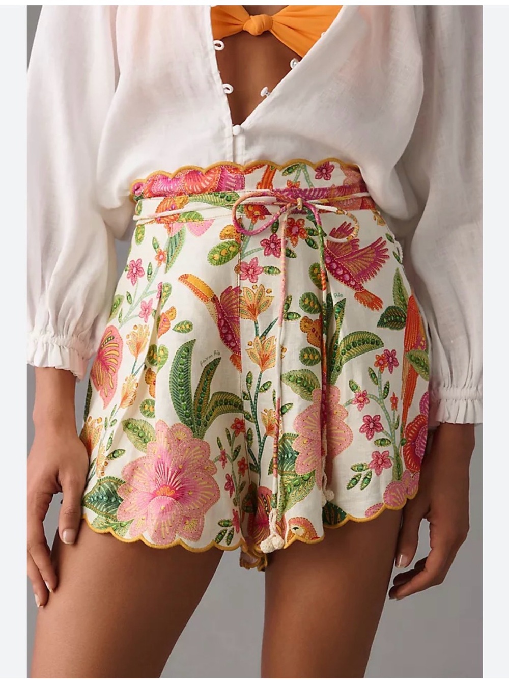 Medium Farm Rio Embroidered Shorts